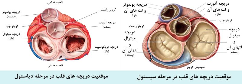 بیماری دریچه های قلب