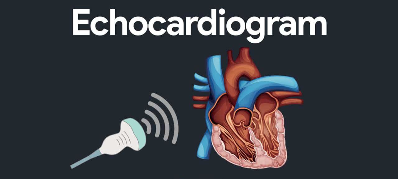 اکوی قلب