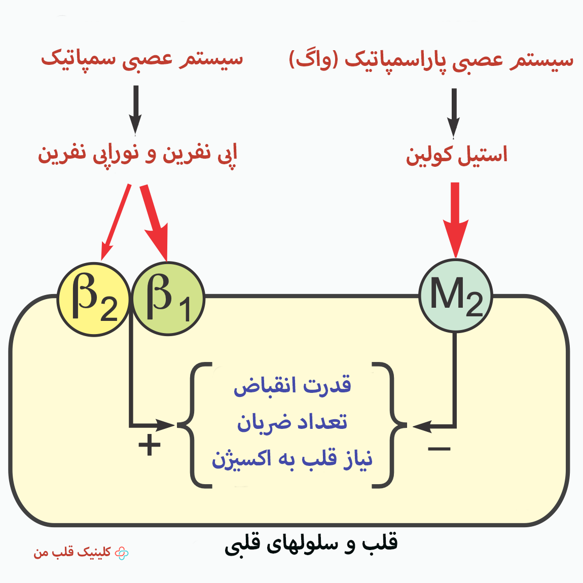 درد قلب